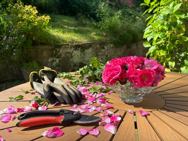 Gartenhandschuhe, Schere und eine Vase mit Rosen auf einem Holztisch in einem sonnigen Garten.